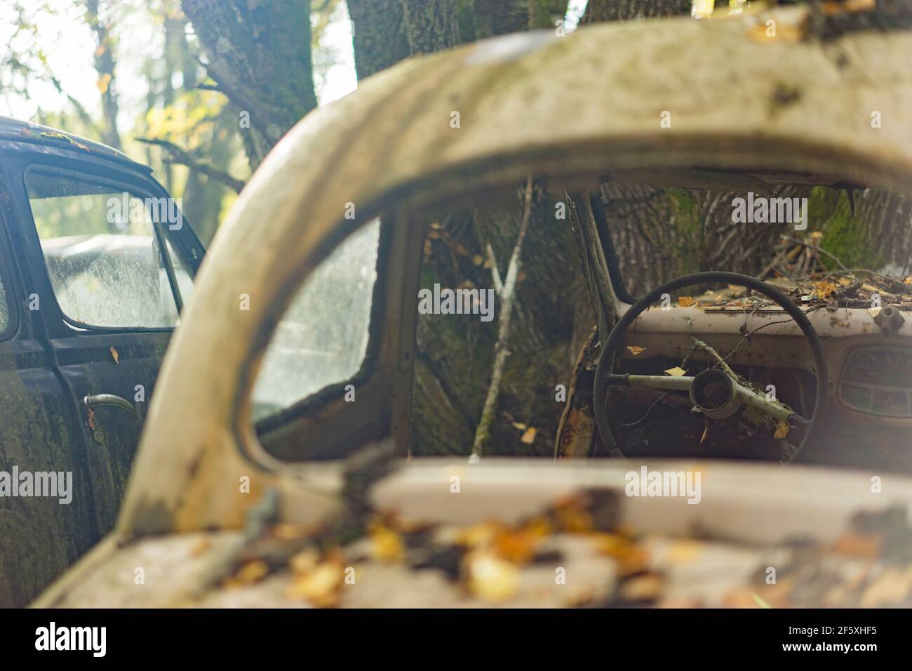 Hidden in the Swedish forest, a car cemetery full off old cars from the 1950`s is taken back by nature. Stock Photo